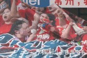 阿拉维斯取得关键胜利，保留冲超希望